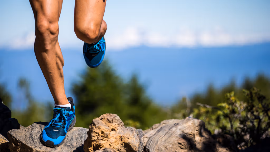 Cardio and running equipment